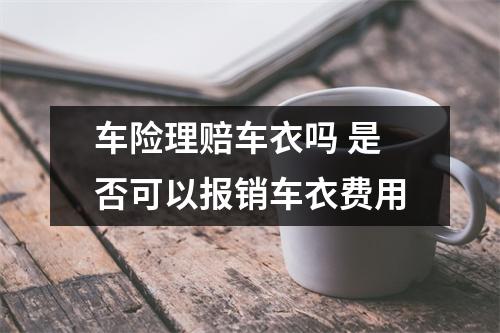 车险理赔车衣吗 是否可以报销车衣费用