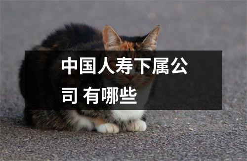 中国人寿下属公司 有哪些 