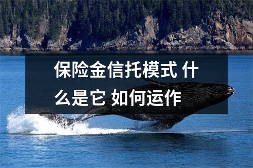 保险金信托模式 什么是它 如何运作 