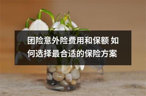 团险意外险费用和保额 如何选择最合适的保险方案