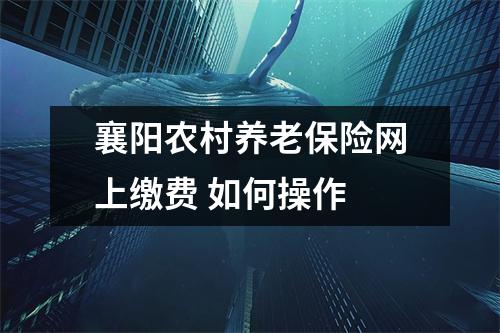襄阳农村养老保险网上缴费 如何操作 