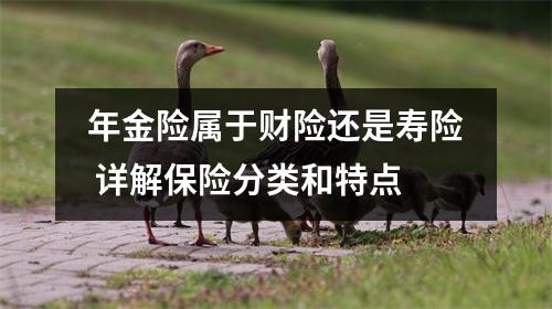 年金险属于财险还是寿险 详解保险分类和特点