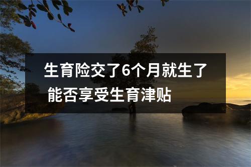生育险交了6个月就生了 能否享受生育津贴 