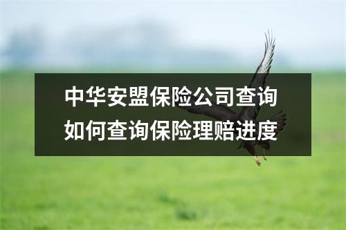 中华安盟保险公司查询 如何查询保险理赔进度