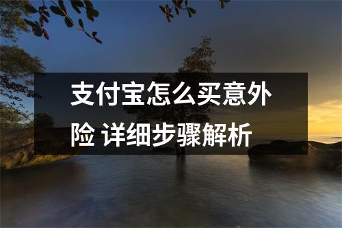 支付宝怎么买意外险 详细步骤解析
