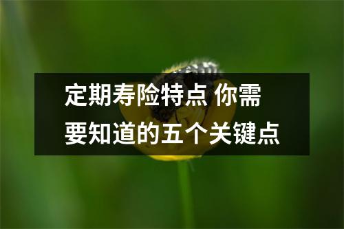 定期寿险特点 你需要知道的五个关键点