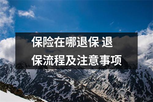 保险在哪退保 退保流程及注意事项
