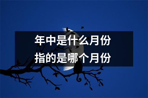 年中是什么月份 指的是哪个月份 