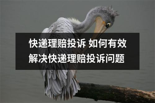 快递理赔投诉 如何有效解决快递理赔投诉问题