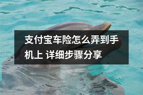 支付宝车险怎么弄到手机上 详细步骤分享