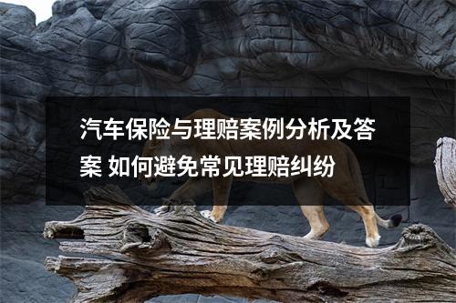 汽车保险与理赔案例分析及答案 如何避免常见理赔纠纷