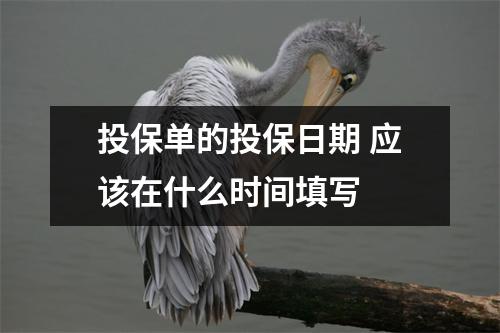 投保单的投保日期 应该在什么时间填写