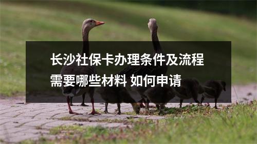 长沙社保卡办理条件及流程 需要哪些材料 如何申请 