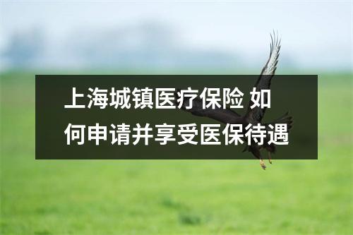 上海城镇医疗保险 如何申请并享受医保待遇