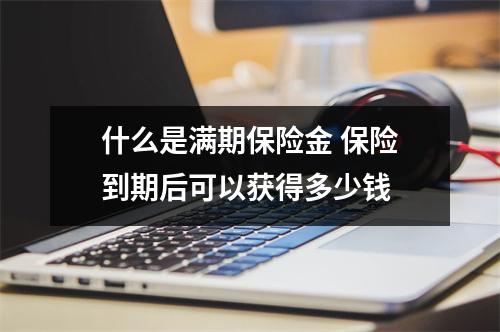 什么是满期保险金 保险到期后可以获得多少钱 