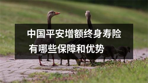 中国平安增额终身寿险 有哪些保障和优势 