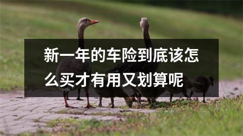 新一年的车险到底该怎么买才有用又划算呢