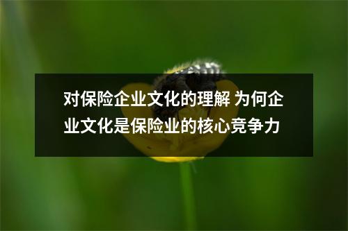 对保险企业文化的理解 为何企业文化是保险业的核心竞争力