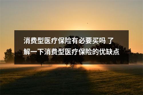 消费型医疗保险有必要买吗 了解一下消费型医疗保险的优缺点