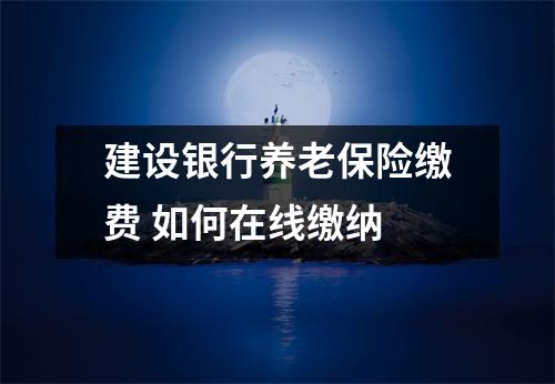 建设银行养老保险缴费 如何在线缴纳 