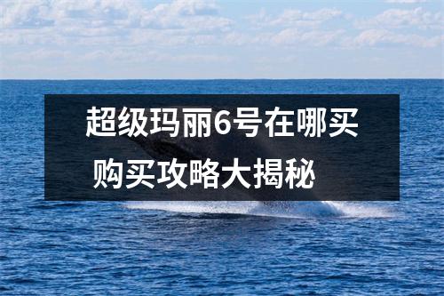 超级玛丽6号在哪买 购买攻略大揭秘