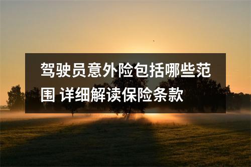 驾驶员意外险包括哪些范围 详细解读保险条款