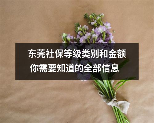 东莞社保等级类别和金额 你需要知道的全部信息