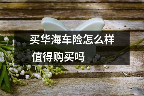 买华海车险怎么样 值得购买吗