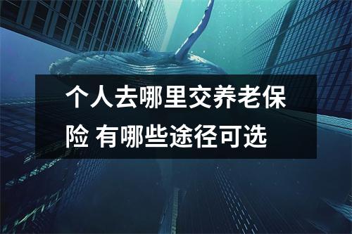 个人去哪里交养老保险 有哪些途径可选