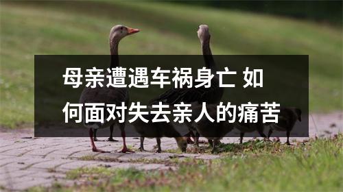 母亲遭遇车祸身亡 如何面对失去亲人的痛苦