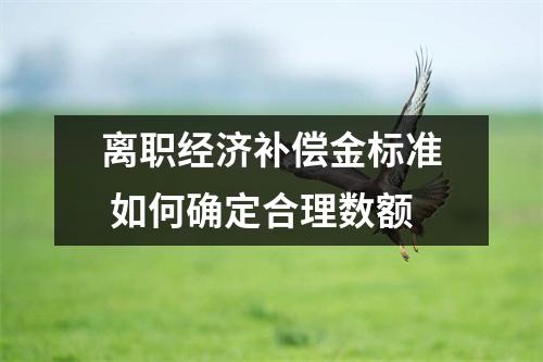 离职经济补偿金标准 如何确定合理数额