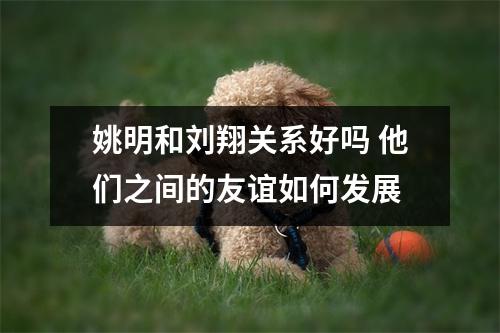 姚明和刘翔关系好吗 他们之间的友谊如何发展