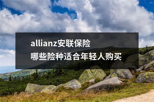 allianz安联保险 哪些险种适合年轻人购买 