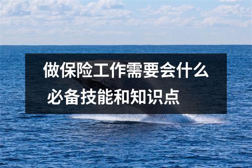 做保险工作需要会什么 必备技能和知识点
