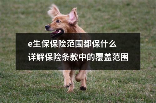 e生保保险范围都保什么 详解保险条款中的覆盖范围