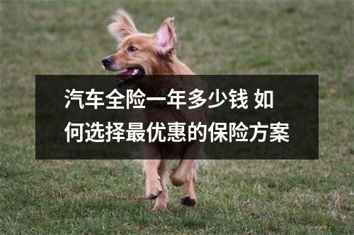 汽车全险一年多少钱 如何选择最优惠的保险方案
