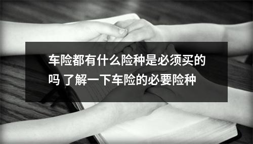 车险都有什么险种是必须买的吗 了解一下车险的必要险种