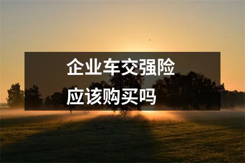 企业车交强险 应该购买吗 