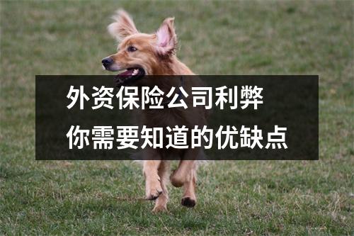外资保险公司利弊 你需要知道的优缺点