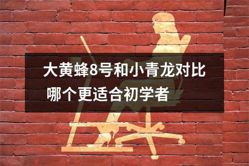 大黄蜂8号和小青龙对比 哪个更适合初学者 