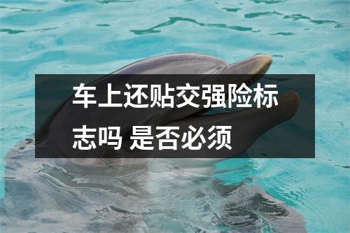 车上还贴交强险标志吗 是否必须 