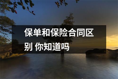 保单和保险合同区别 你知道吗 