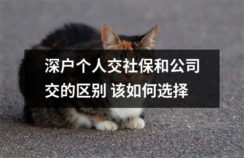 深户个人交社保和公司交的区别 该如何选择