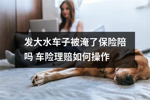 发大水车子被淹了保险陪吗 车险理赔如何操作