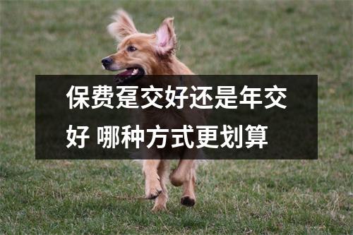 保费趸交好还是年交好 哪种方式更划算