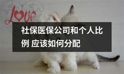 社保医保公司和个人比例 应该如何分配 