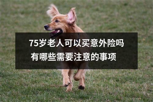 75岁老人可以买意外险吗 有哪些需要注意的事项