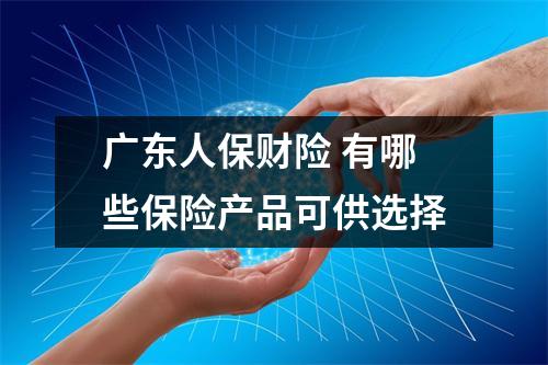 广东人保财险 有哪些保险产品可供选择