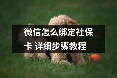 微信怎么绑定社保卡 详细步骤教程