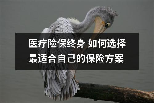 医疗险保终身 如何选择最适合自己的保险方案